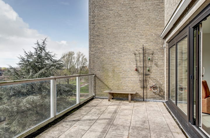 Foto 24 van Reviuslaan 48