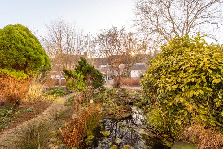 Foto 47 van Kelderswerf 38