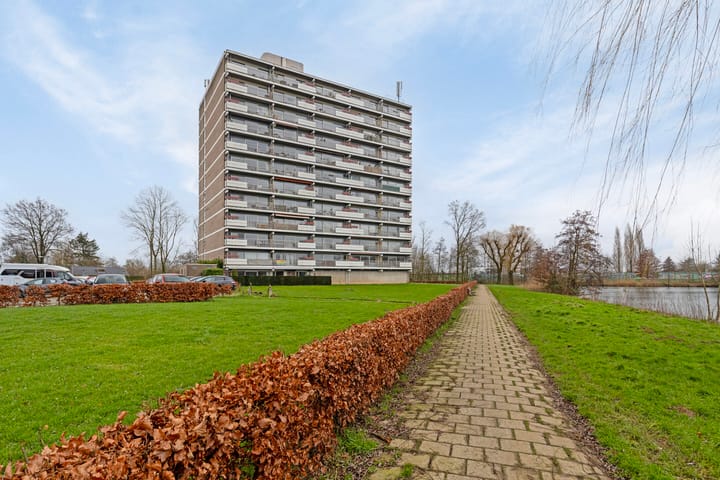 Photo 24 of Aalscholversingel 446