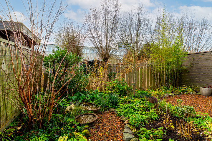 Photo 39 of Nieuwe Kleiweg 33