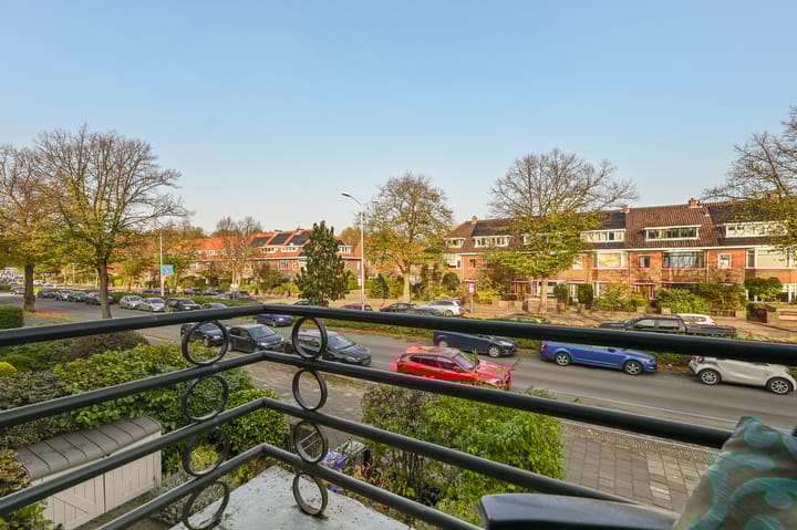 Foto 21 van Laan van Nieuw Oosteinde 438