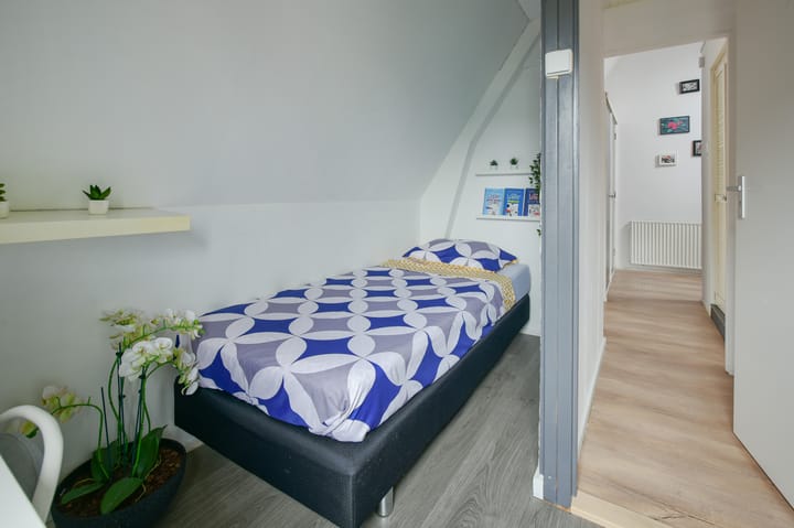 Foto 20 van Willink van Collenstraat 76