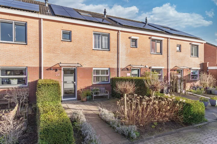 Foto 1 van Landauer 22