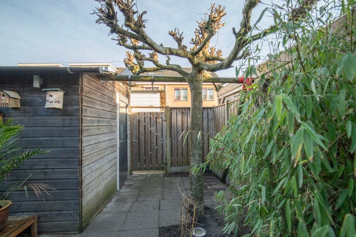 Foto 31 van Landauer 22