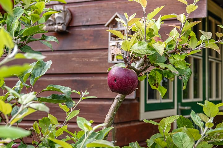 Foto 34 van Dijkhuizenweg 65