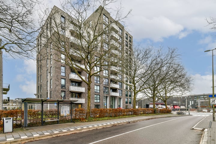 De Burcht 50