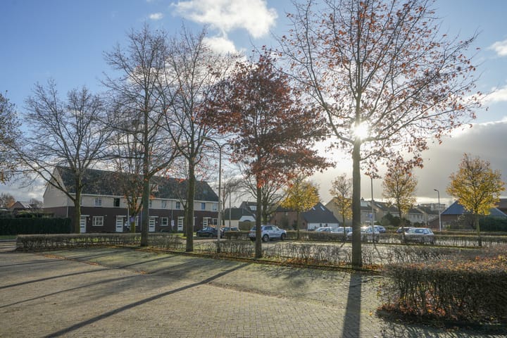 Foto 38 van de Meeuwse Acker 1730