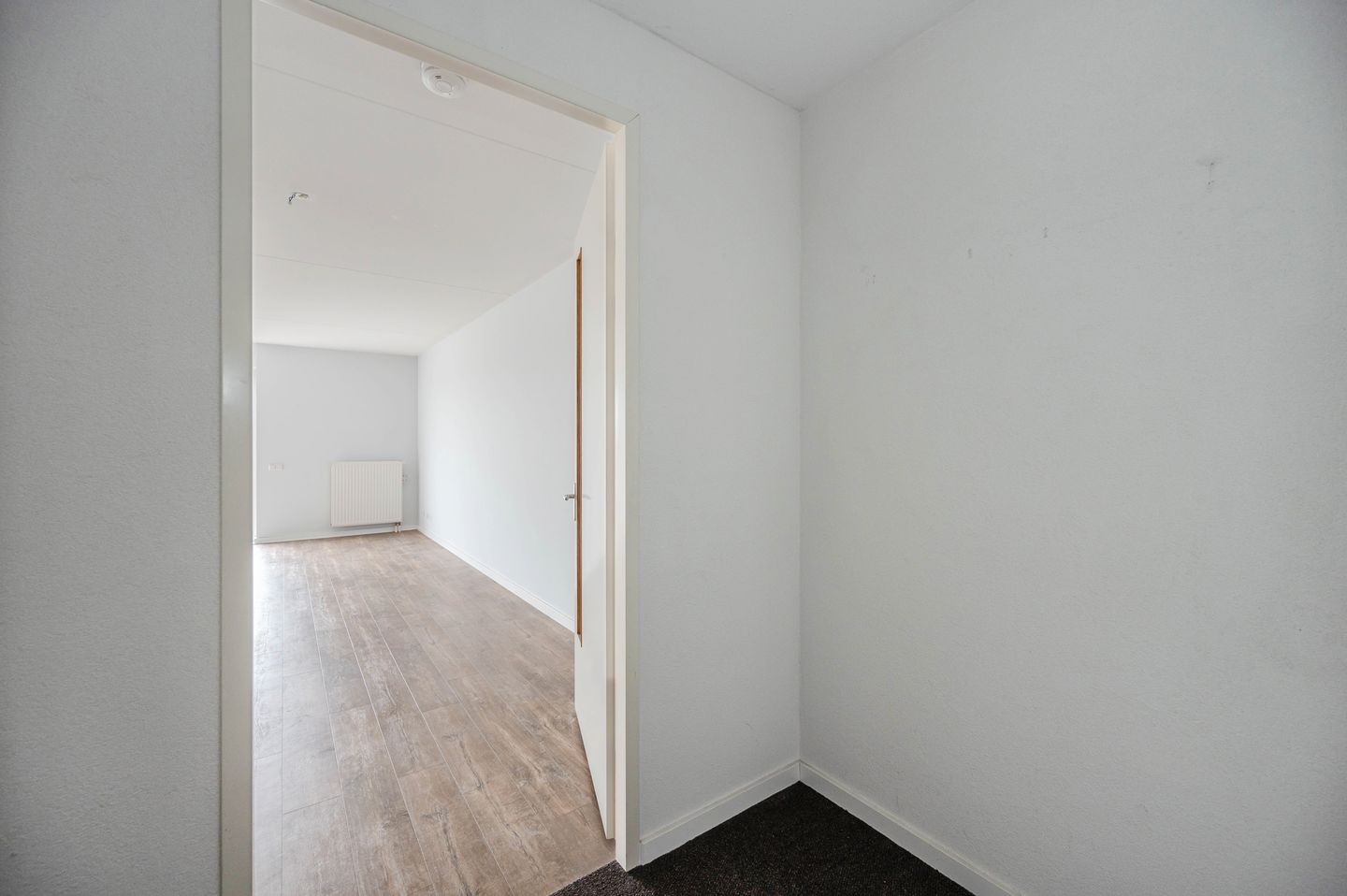 Foto 10 van Pegasusstraat 170