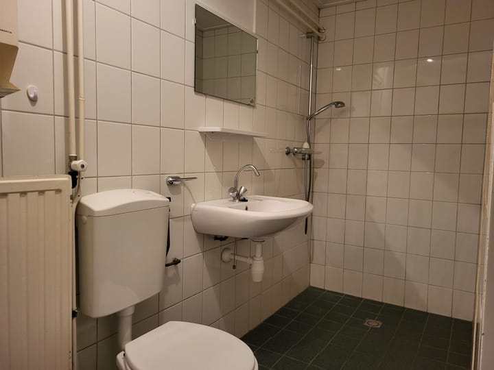 Foto 10 van Boekweitstraat 4