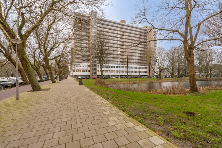 Foto 54 van Mensinge 25