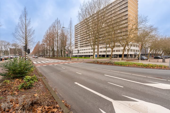 Foto 56 van Mensinge 25