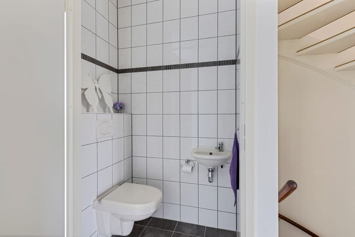 Foto 14 van Vuurvlinder 28