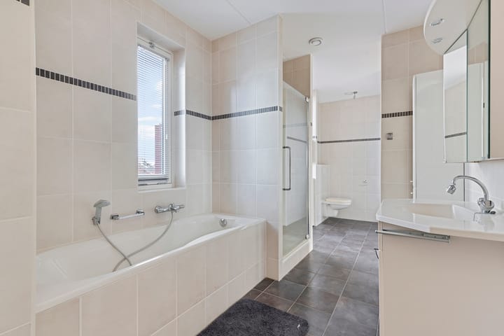 Foto 18 van Vuurvlinder 28