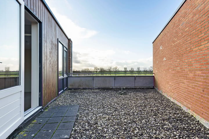 Foto 28 van Vuurvlinder 28