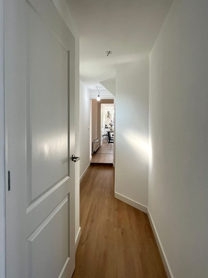 Foto 17 van Hemonystraat 20-A