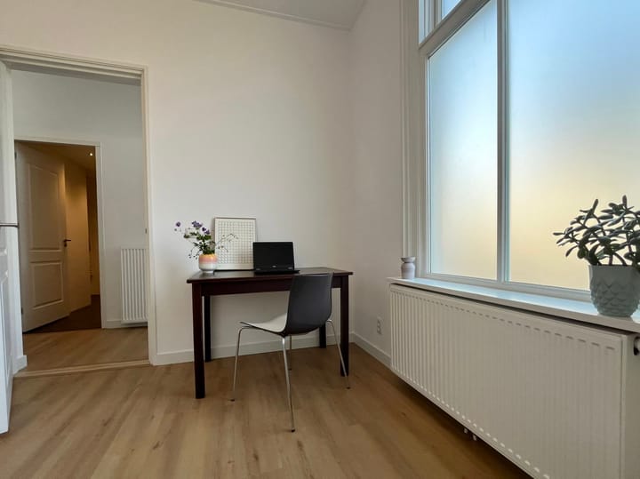 Foto 31 van Hemonystraat 20-A