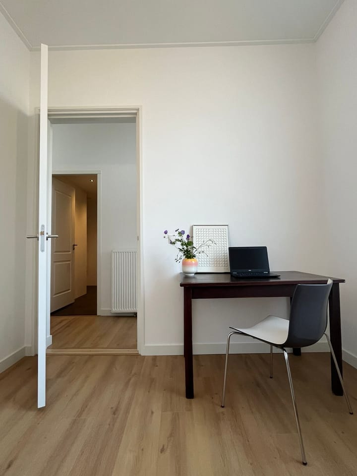 Foto 32 van Hemonystraat 20-A