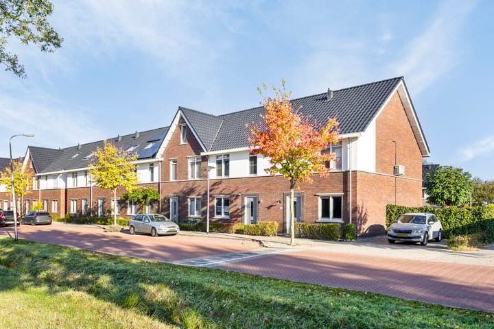 Foto 30 van Johannes Vermeerstraat 47