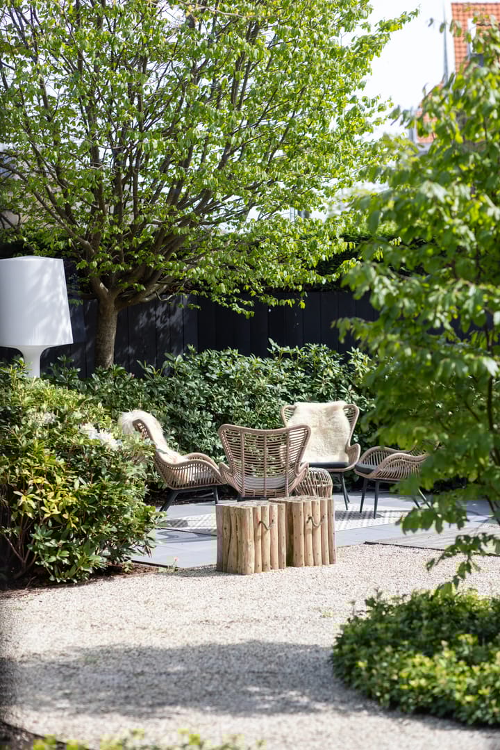 Foto 57 van Verploegh Chasséplein 4