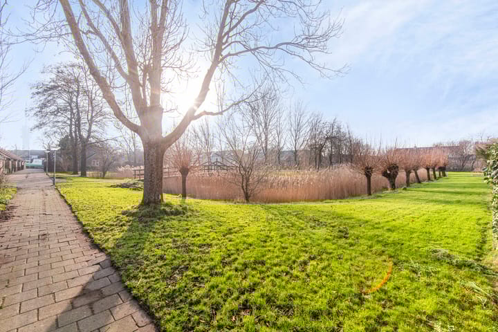 Foto 19 van Hallsteinhof 31