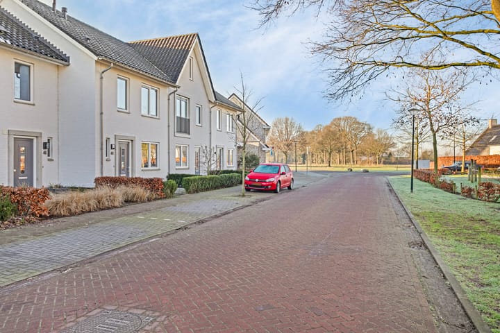 Foto 2 van Meiraap 48