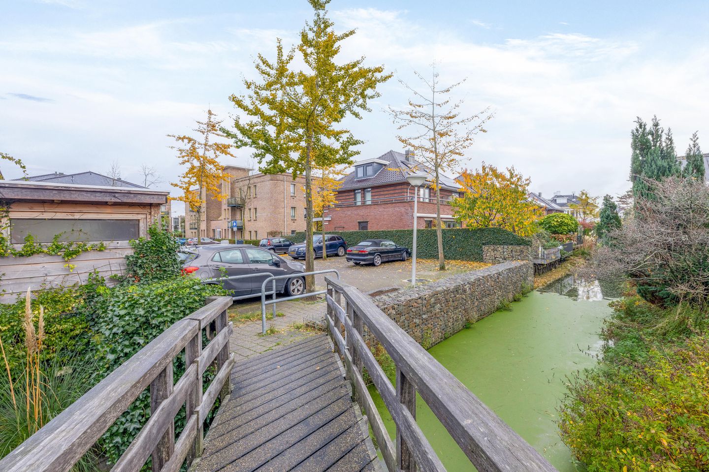 Foto 50 van Mendeldreef 287