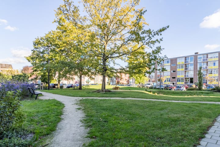 Photo 46 of Fenacoliuslaan 18-A