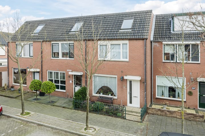 Foto 2 van Ridderspoor 16