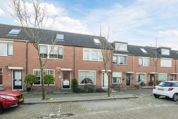 Foto 4 van Ridderspoor 16