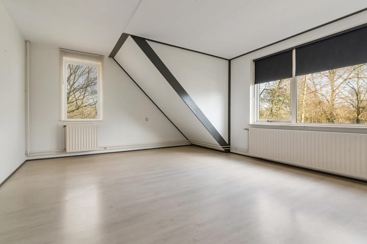 Foto 10 van De Twee Gebroeders 195