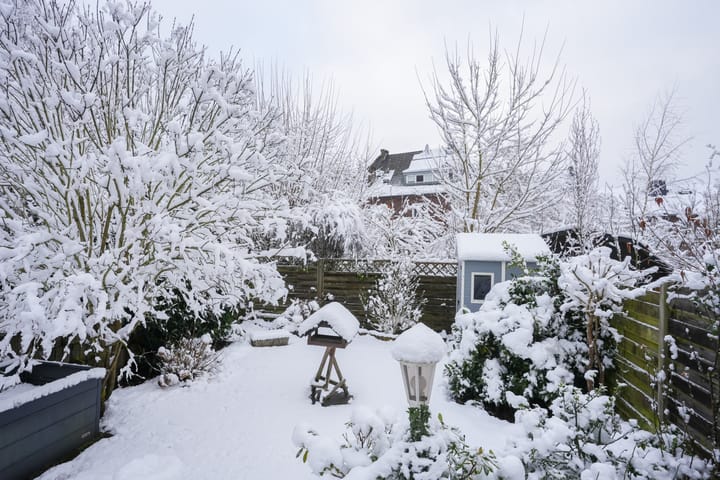 Foto 16 van Pastoor Prickaertsstraat 67