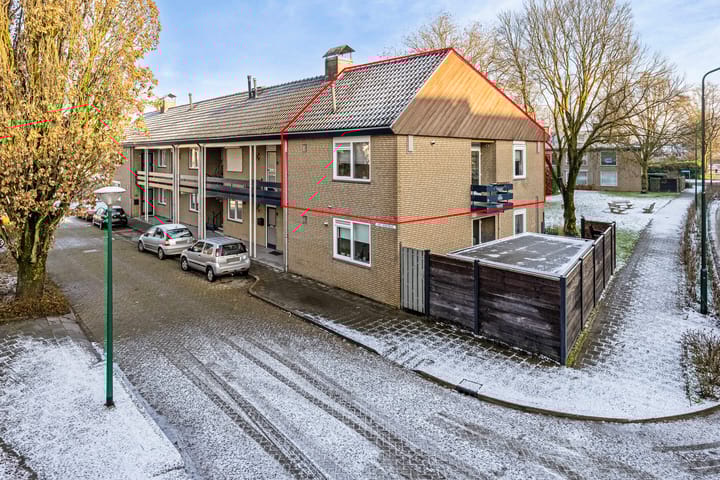 undefined main image