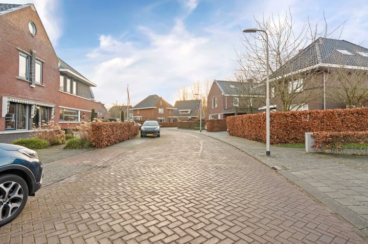 Foto 6 van Dwingelderveld 9