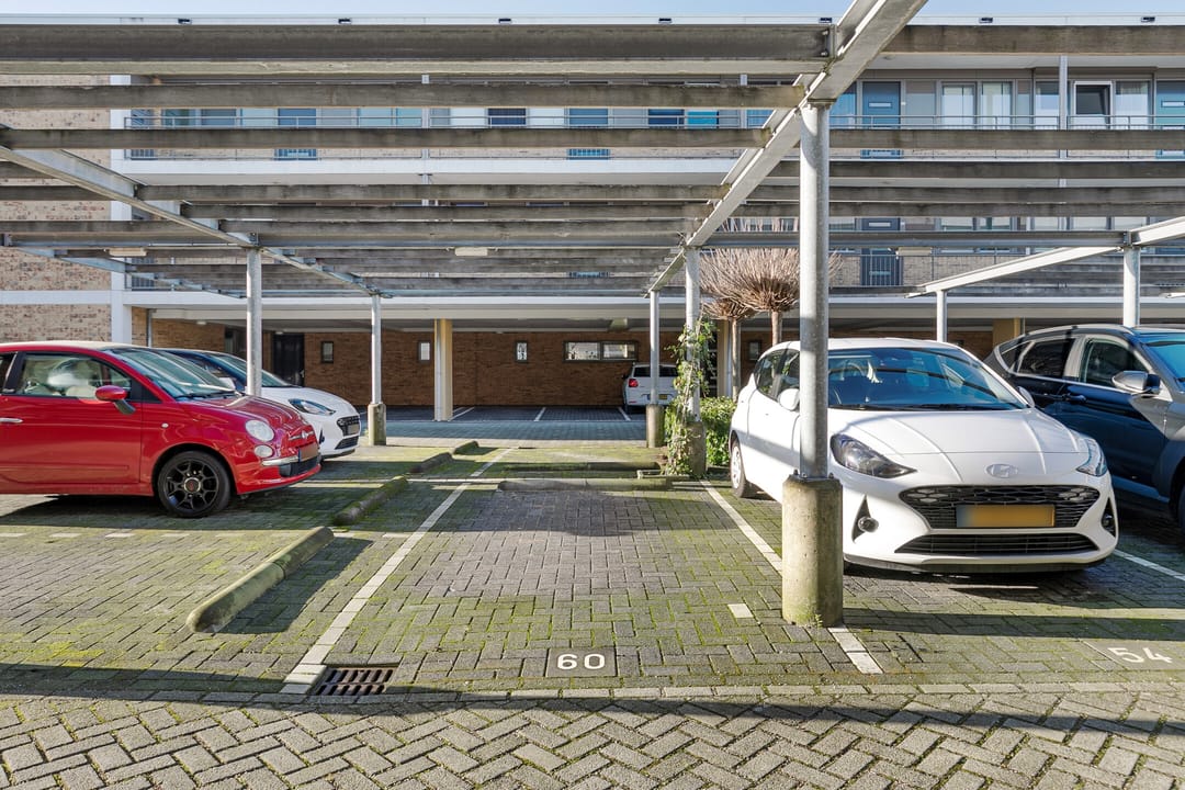 Foto 28 van Merelstraat 38