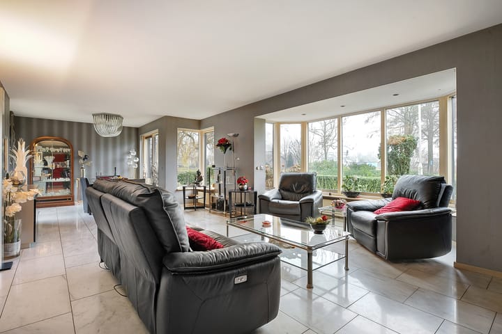 Foto 11 van Klaver 2