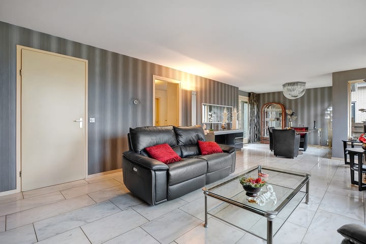 Foto 15 van Klaver 2