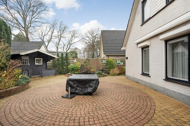 Foto 38 van Klaver 2