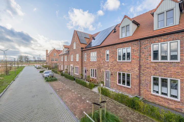 Foto 5 van Palissanderhout 12