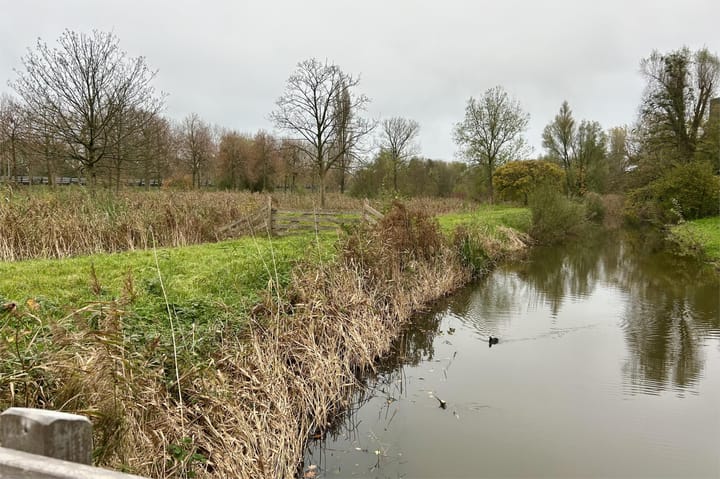 Foto 28 van Amerbos 27