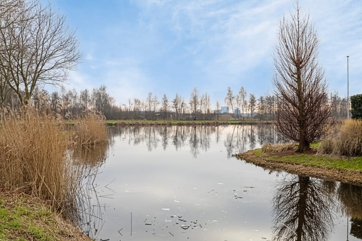 Foto 42 van Hofje van Pauw 5