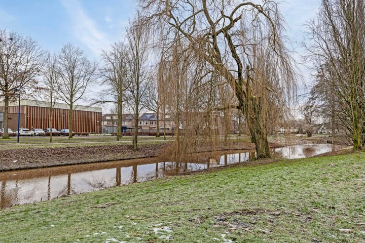 Foto 29 van Schapeweide 27