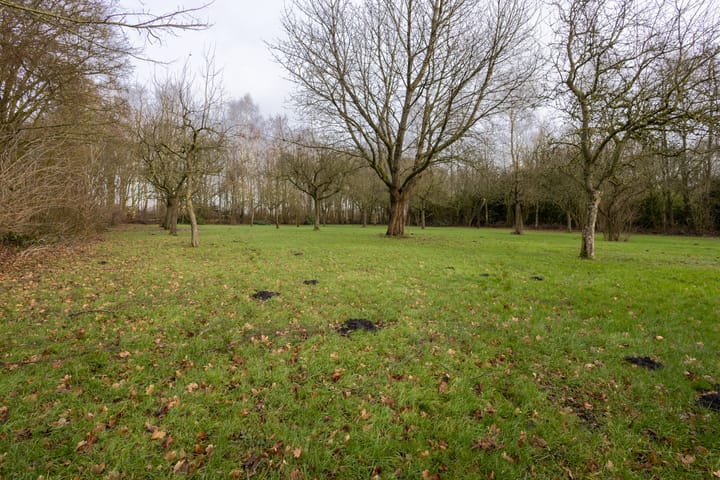 Foto 25 van Slochterdijk 52