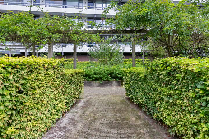 Photo 33 of Zuiderkruis 454