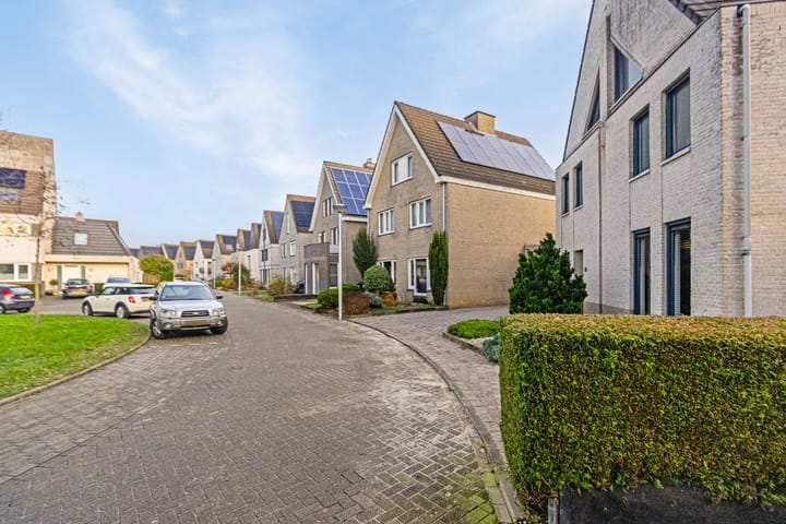 Foto 7 van Violabeemd 30