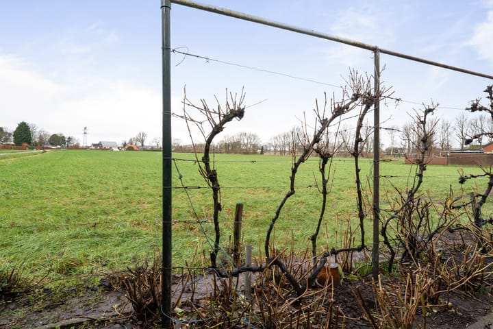 Foto 50 van Langenbergsestraat 6