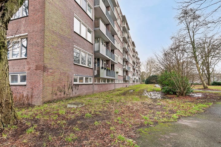 Foto 26 van Cederstraat 79