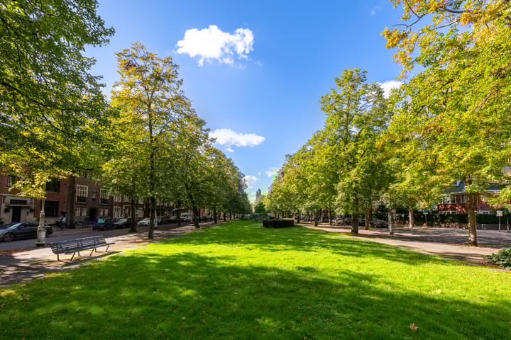 Foto 19 van Banstraat 51