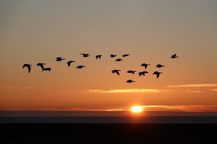 Foto 61 van Oosterend 22-A