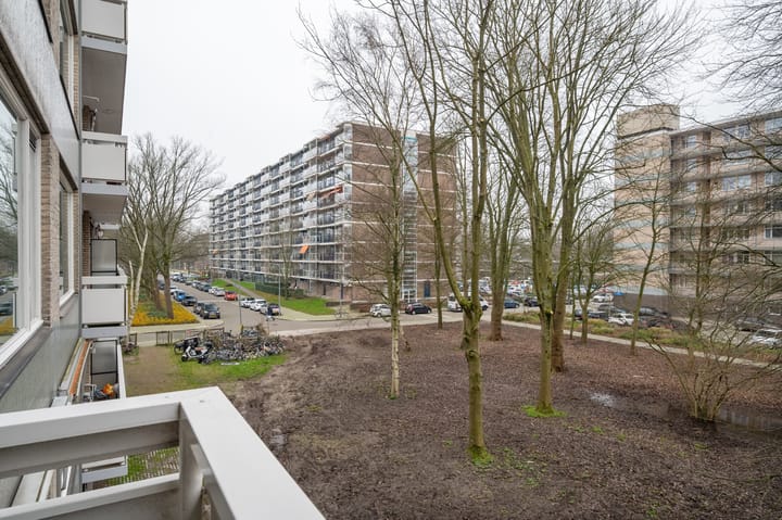 Foto 18 van Everaertstraat 25