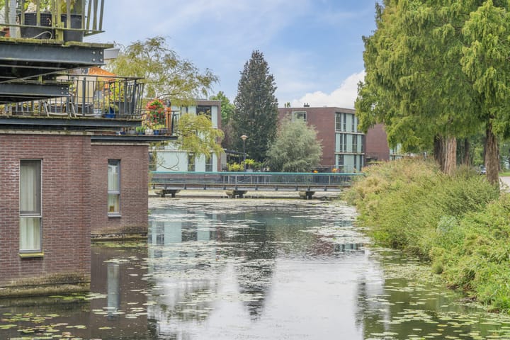 Foto 33 van Waterviolier 50